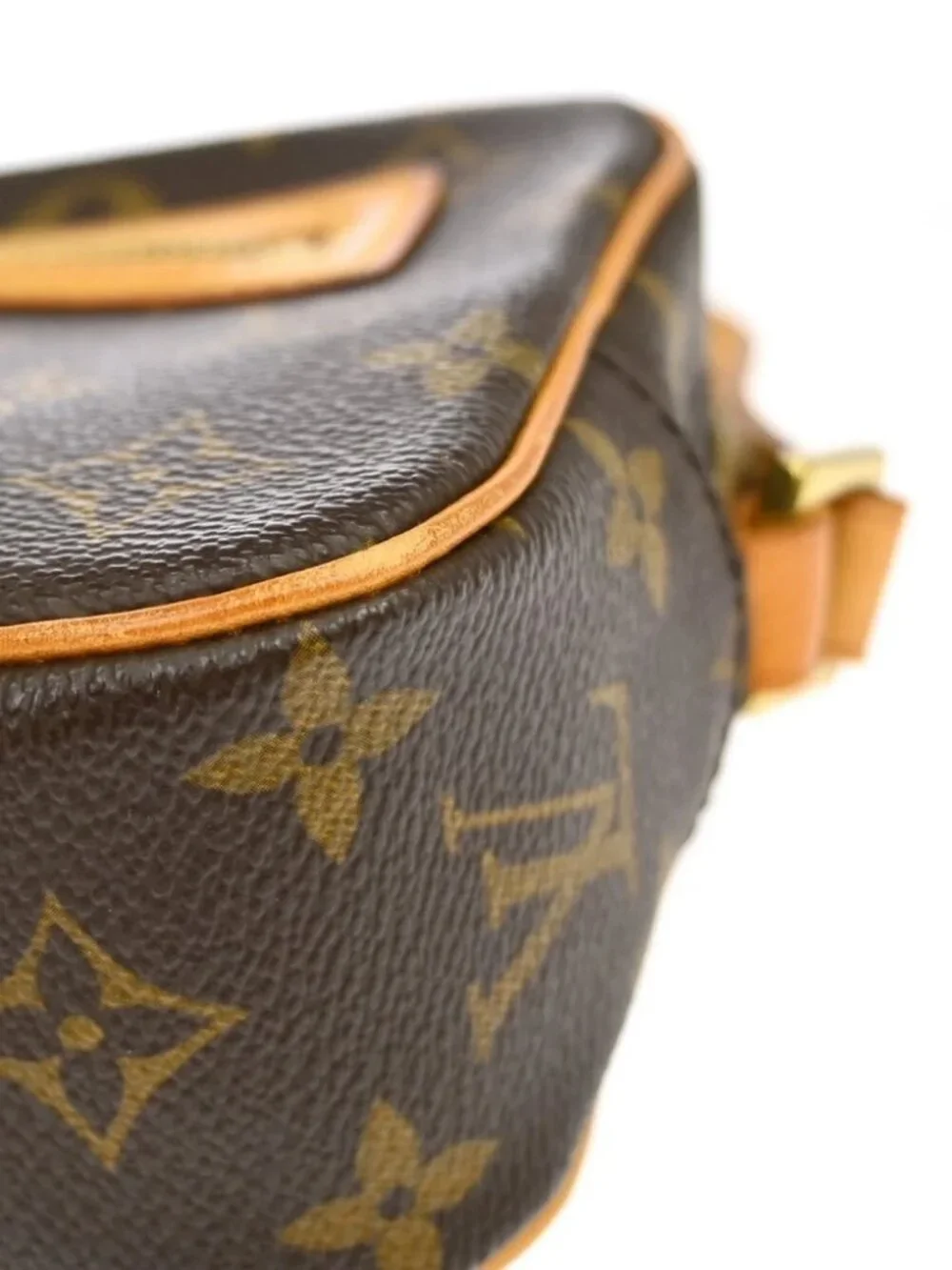 Louis Vuitton canvas minor